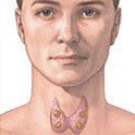 Thyroid Disorders