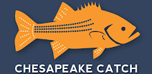 Chesapeake Catch APK