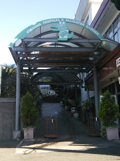 熱川バナナワニ園分園 Branch House of Atagawa Tropical and Alligator Garden