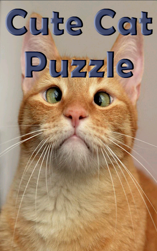 Cute Cat Puzzle