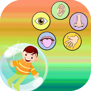 Education  Five Senses 1.0.0