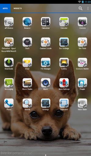 免費下載個人化APP|Chihuahua Theme - Nova/ADW/GO app開箱文|APP開箱王