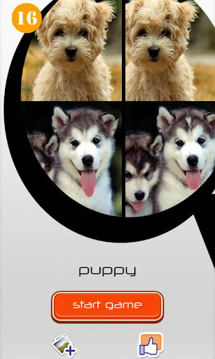 Find Differences 16 - Puppy