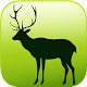 EVO ANIMAL - EVOANIMAL AR APK