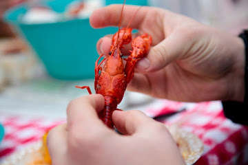 Crawfish Boil