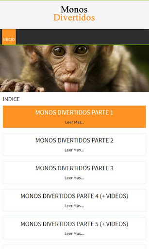 Monos divertidos