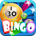Bingo Fever - Free Bingo Game icon