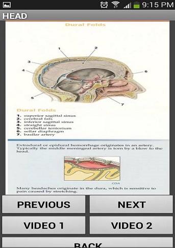 head neck