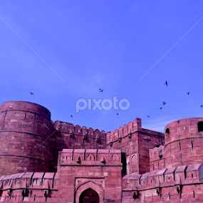 Agra Fort by Janhavi Pathak - Buildings & Architecture Statues & Monuments