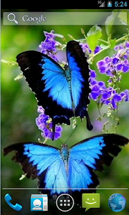 How to download Butterfly Live Wallpaper 1.2 unlimited apk for pc