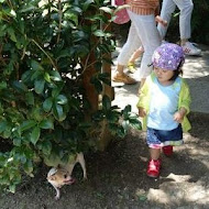 山上人家森林農場