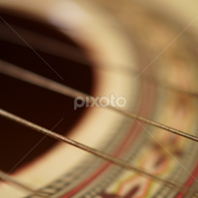 My Cords by Ahmad Alshiekh - Artistic Objects Musical Instruments