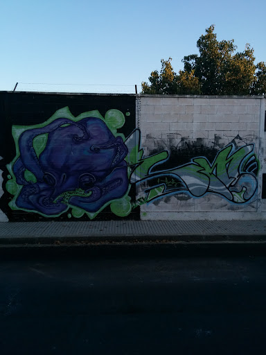 Graffiti Pulpo