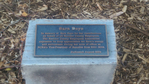 Sara Deyo Memorial