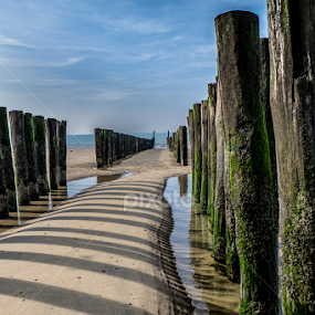 Paaltje by Lieven Lema - Landscapes Beaches