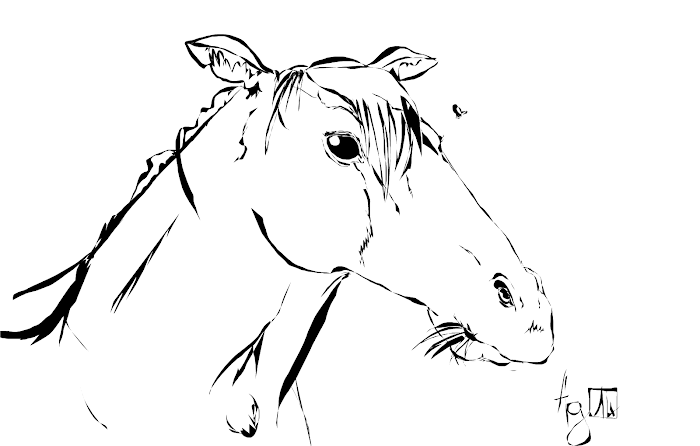 First drawings? 