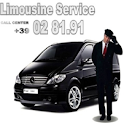 Auto Pubbliche logo