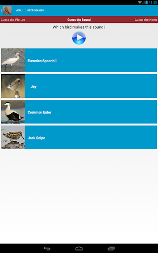 【免費教育App】Spanish Birds Sounds Free-APP點子