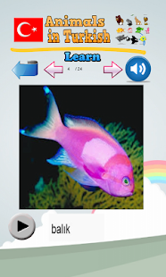 download Pelajari hewan di Turki free