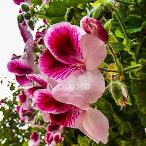 by Jesus Rivero - Uncategorized All Uncategorized