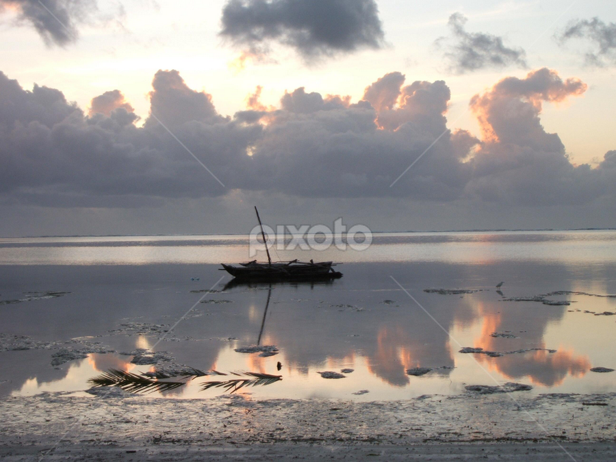 by Chloe Holloway - Landscapes Beaches