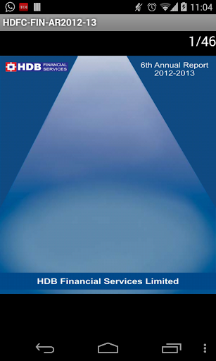 HDB Fin Services Ltd AR2012-13