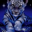 White Tiger In Blue Night logo