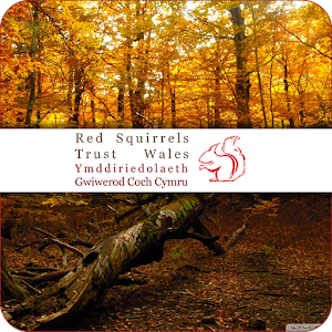 Squirrel Location Map 1.1.0