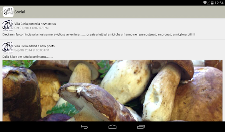 Villa Clelia - Restaurant poster 18