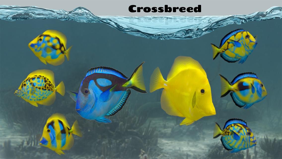 Fish Farm 2 Google Play の Android アプリ