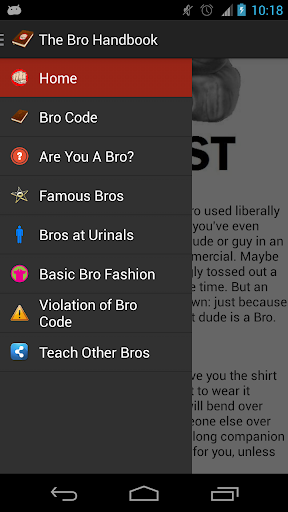 The BRO Handbook