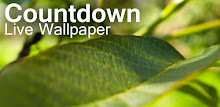 Countdown Live Wallpaper APK