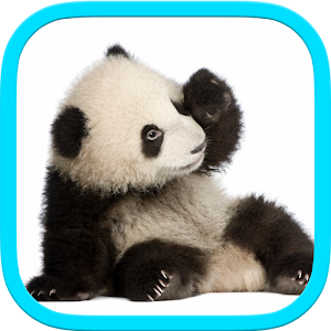 Baby animal puzzle.apk 2