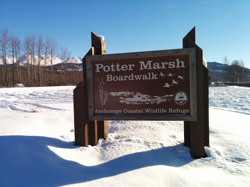 Potter Marsh Boardwalk