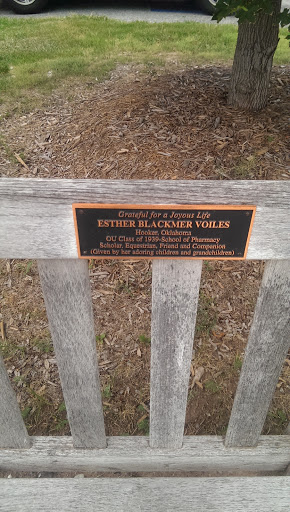 Esther Blackmer Voiles Memorial Bench