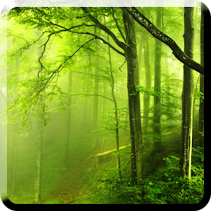 Forest Live Wallpaper.apk 1.0
