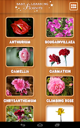 Baby learning Flowers (Card) poster 5