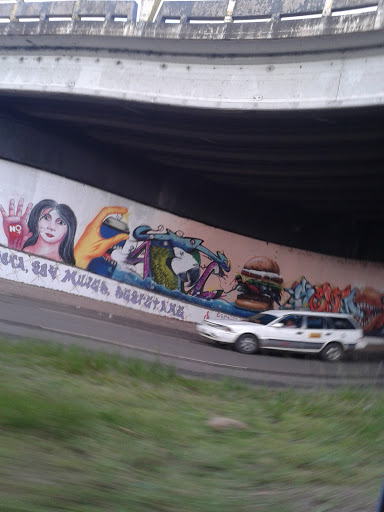 Graffitti Puente Unah