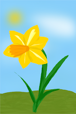 Sunshine and daffodils