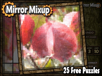 Mirror Mixup Lite poster 6