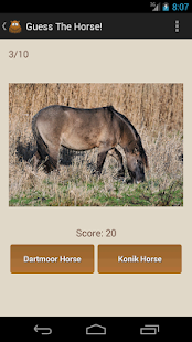 Download Guess The Horse! APK for Android