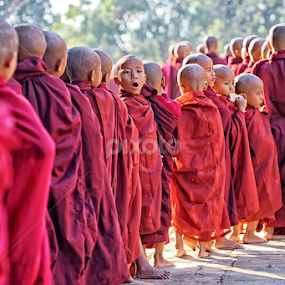 Long Q by Crispin Lee - Babies & Children Children Candids