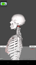 And acupuncture courtyard anatomy (skeletal) 3d APK