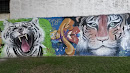 Graffitis Tigres