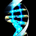 3D DNA