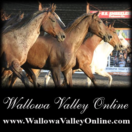 Wallowa Valley Online LOGO-APP點子