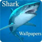 Cover Image of Herunterladen Shark wallpapers 1.0 APK