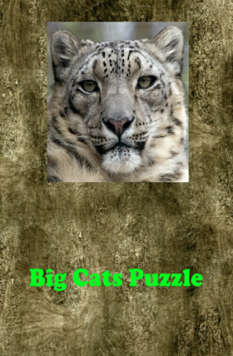 Big Cats Puzzle
