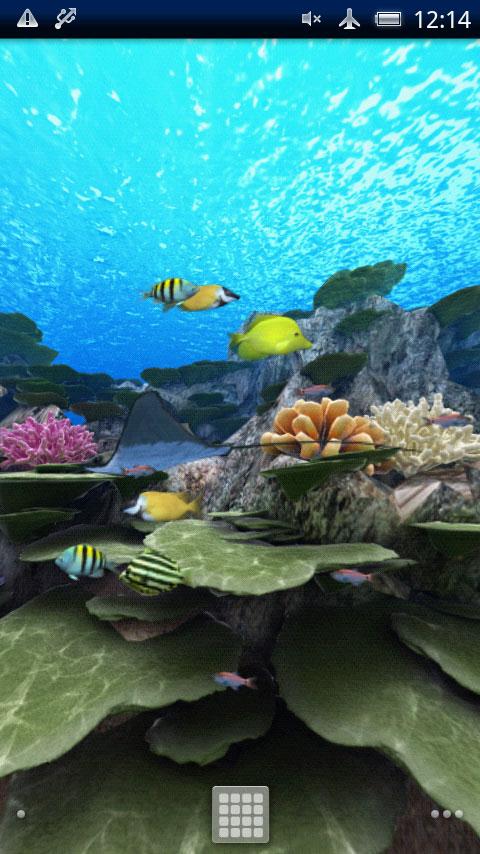 Android application Coral Reef of Kerama screenshort