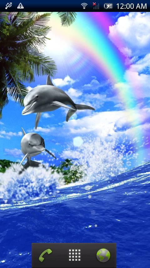 Dolphin Blue Screen 2